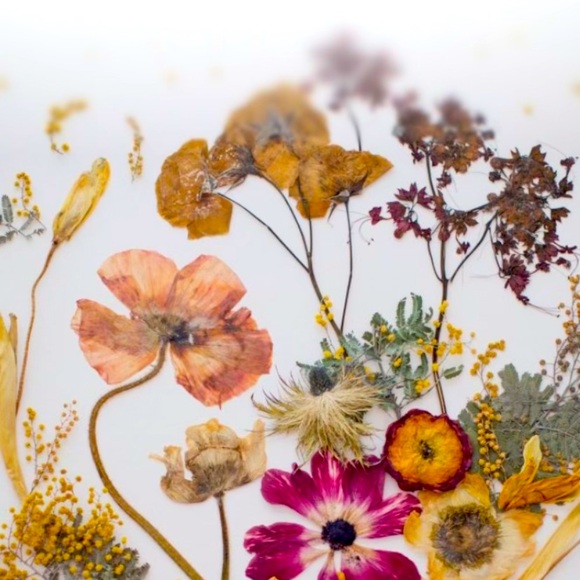 Meet your Posher, Carly - Picture 1 of 1